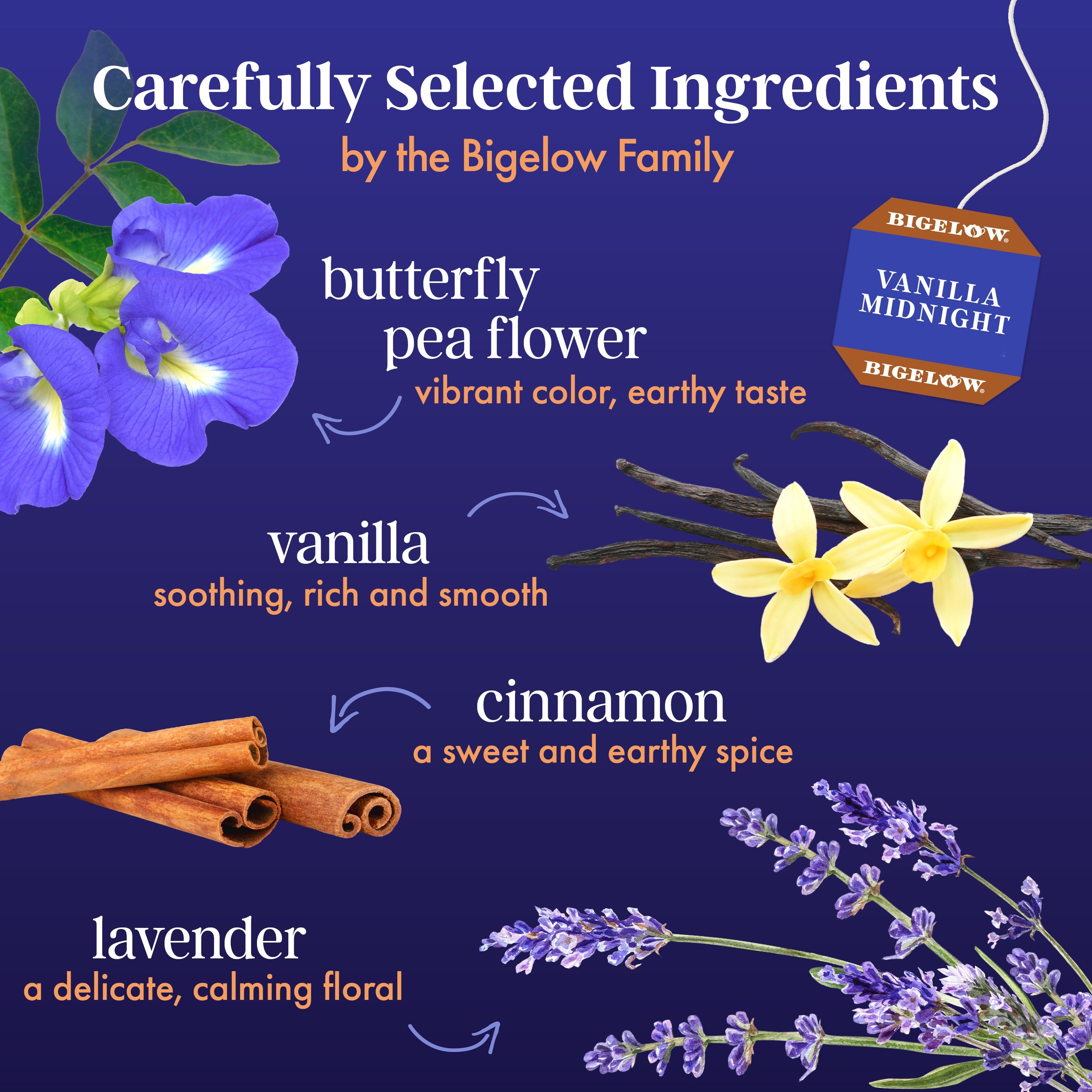 Butterfly Pea Flower Vanilla Midnight Herbal Tea