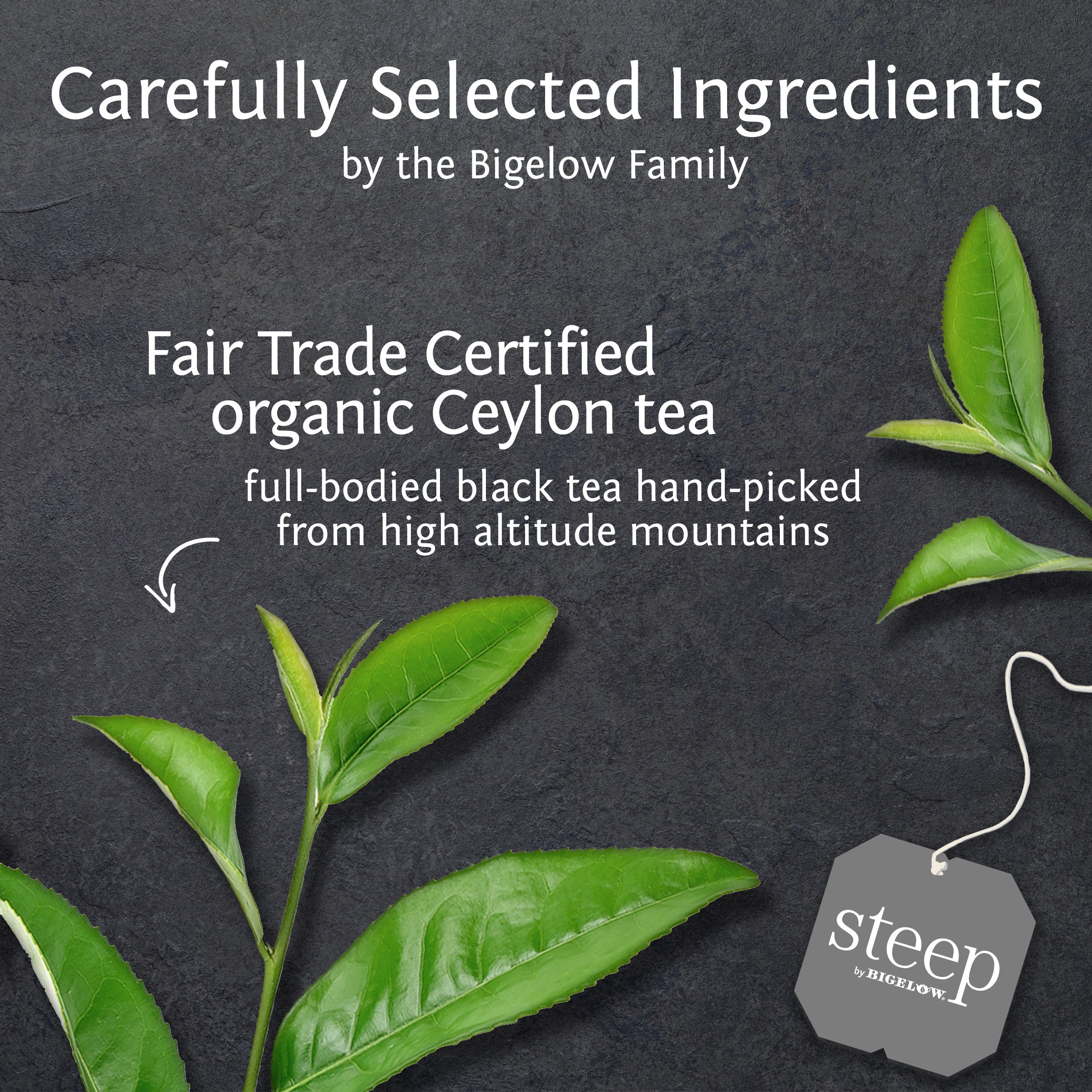 organic english breakfast black tea