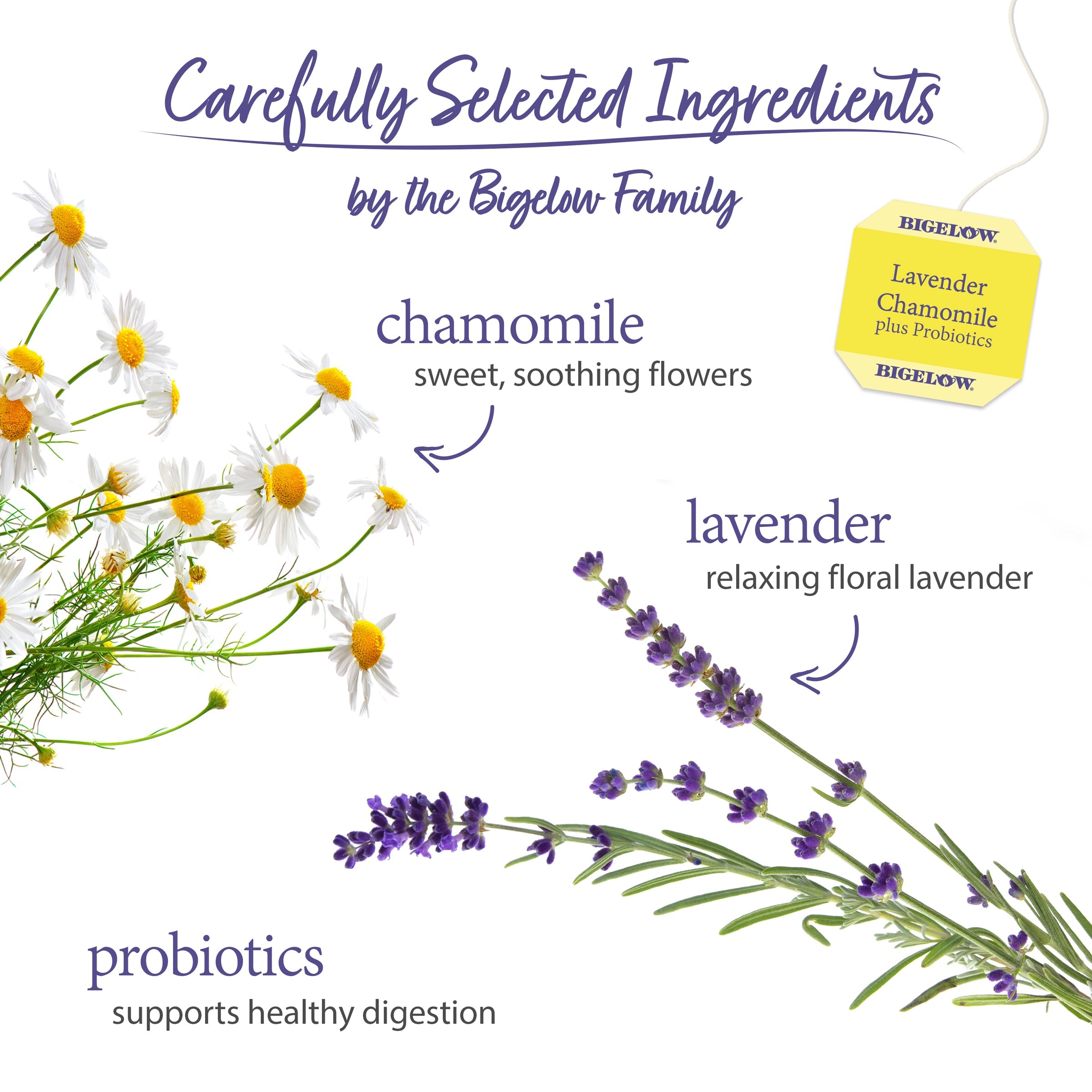 Lavender Chamomile Plus Probiotics Herbal Tea