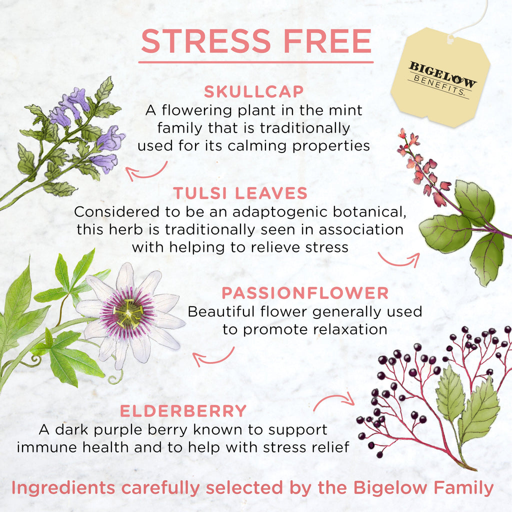 Stress Free Rose and Mint Herbal Tea