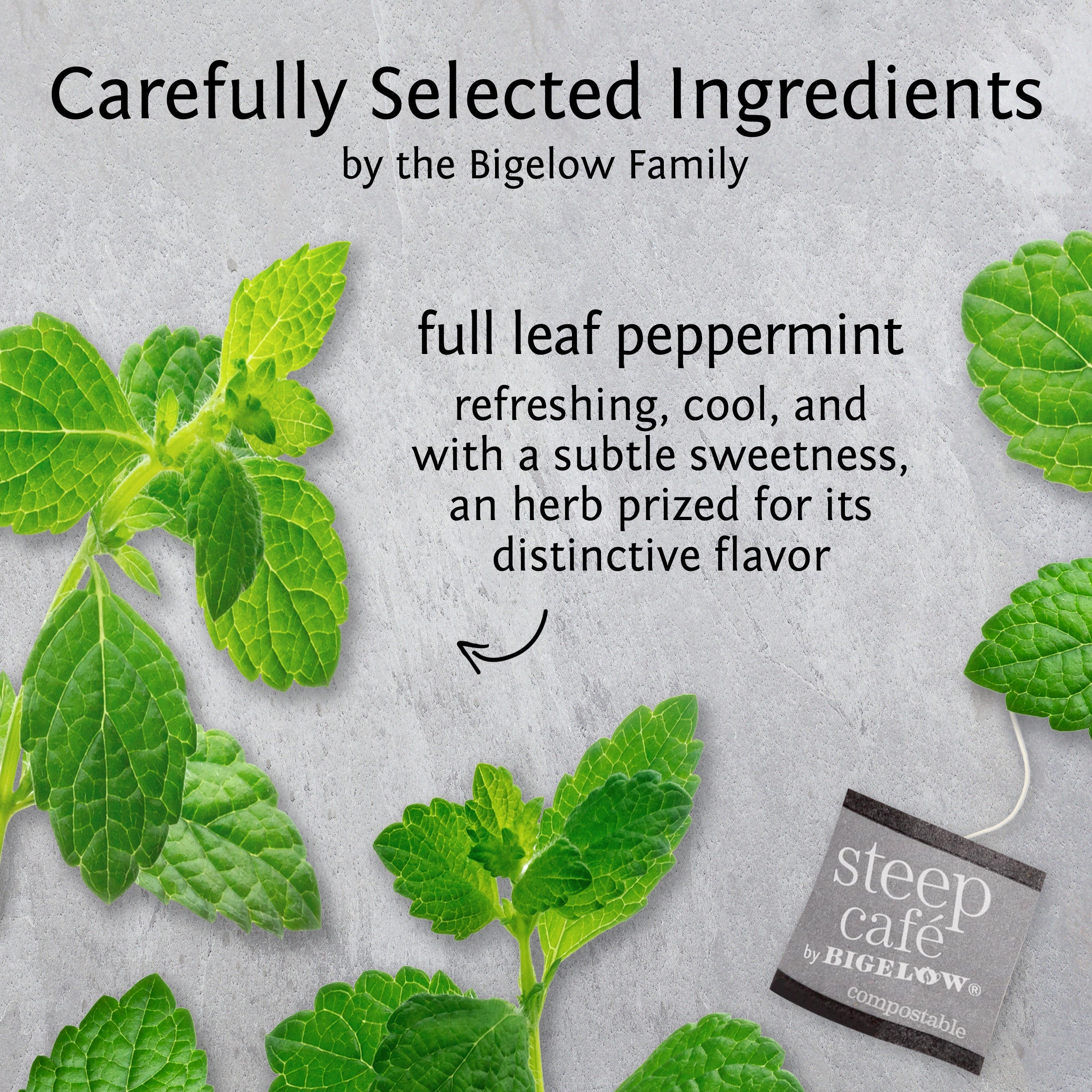 mint full leaf herbal tea