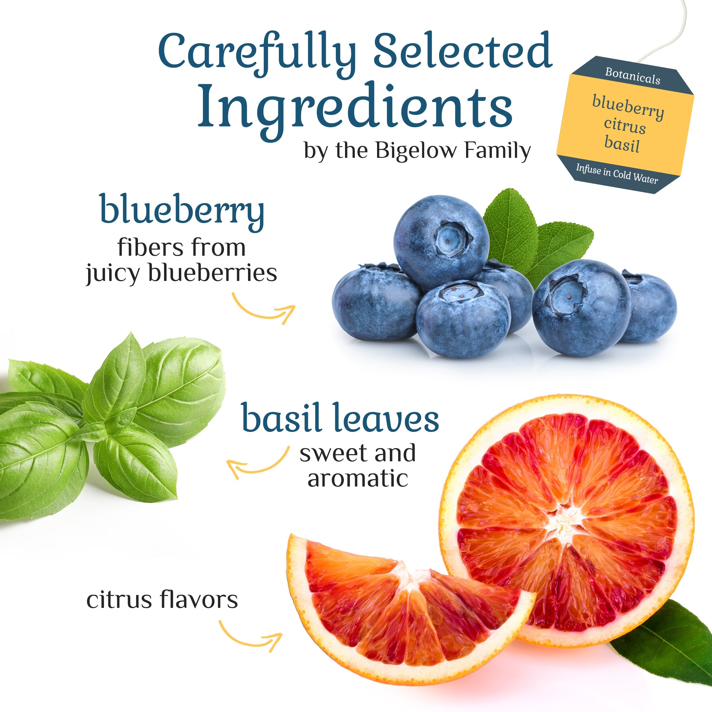 Blueberry Citrus Basil Cold Water Infusion
